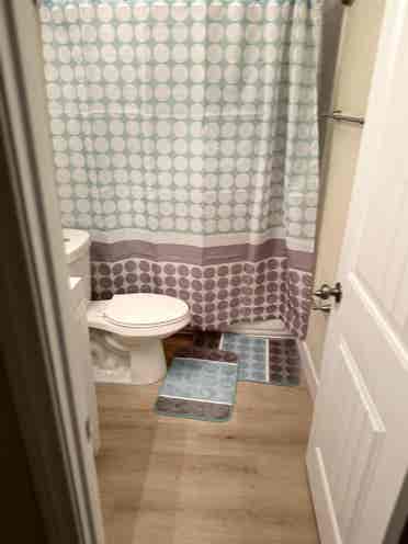 Room for rent in a  bath