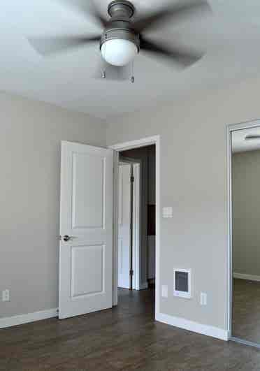 Looking for a roommate!