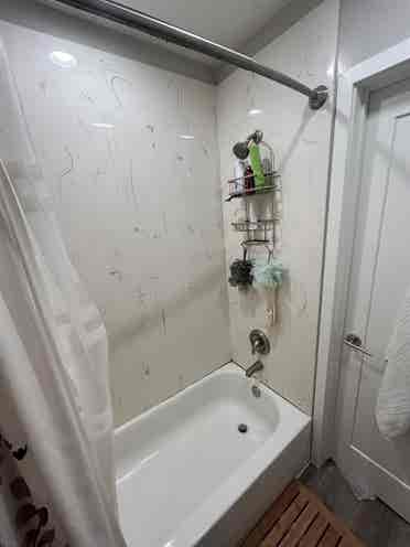 Looking for a roommate!
