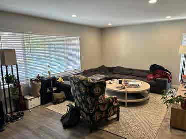 Looking for a roommate!
