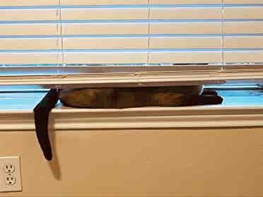 1 furnished bedroom - shared bath