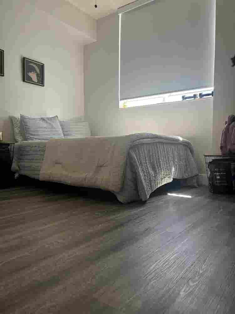 Looking for Female Roommate August