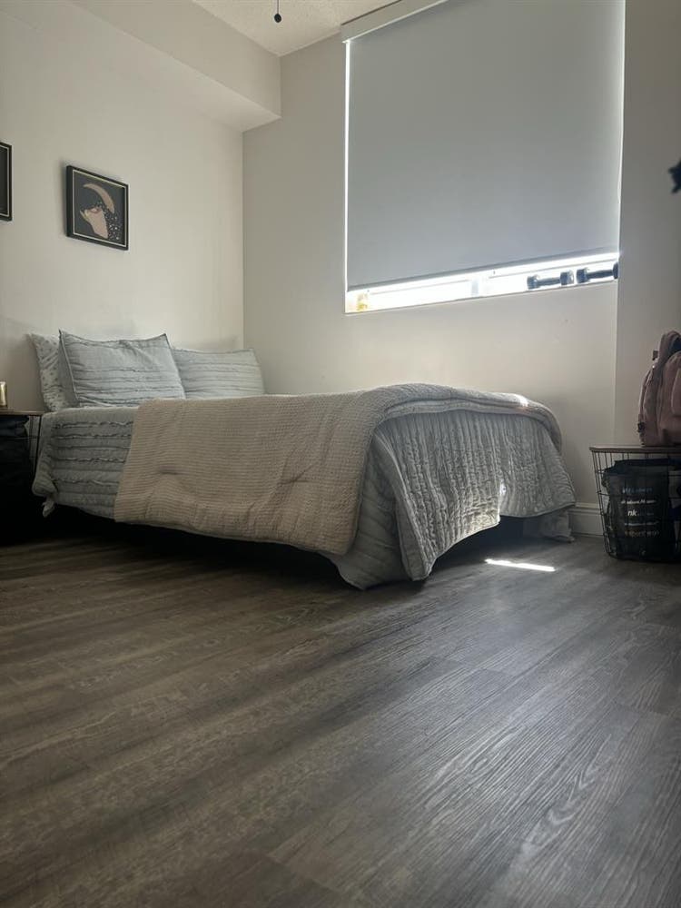 Looking for Female Roommate August