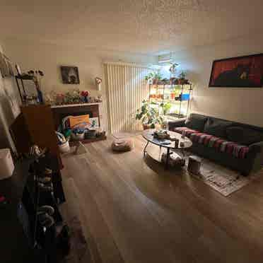 Looking for a Roommate for !