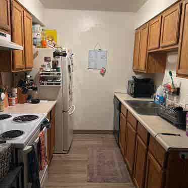 Looking for a Roommate for !