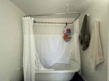Summer Sublet in South Berkeley
