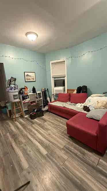 Looking for dog lover roommate
