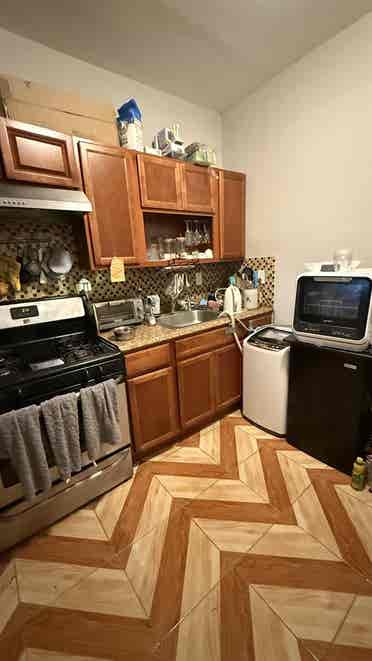 Looking for dog lover roommate
