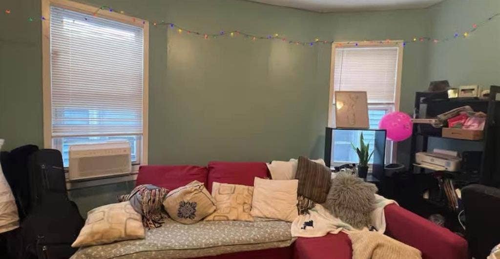 Looking for dog lover roommate