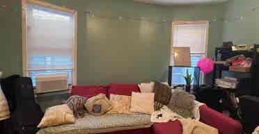 Looking for dog lover roommate