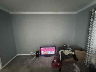 Looking for quiet roommate!