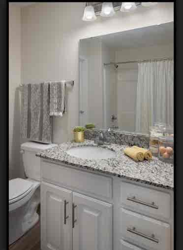 Looking for a female roommate!