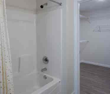 Looking for a female roommate!