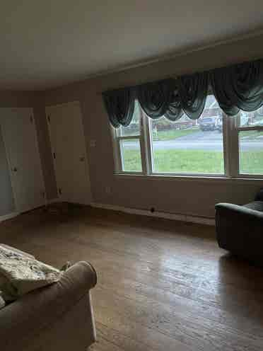 Roommate wanted