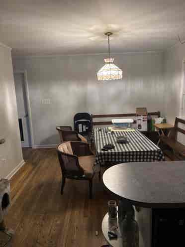 Roommate wanted
