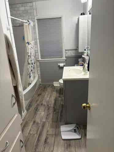 Roommate wanted