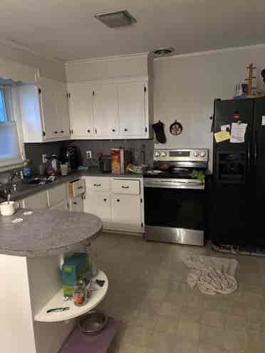 Roommate wanted