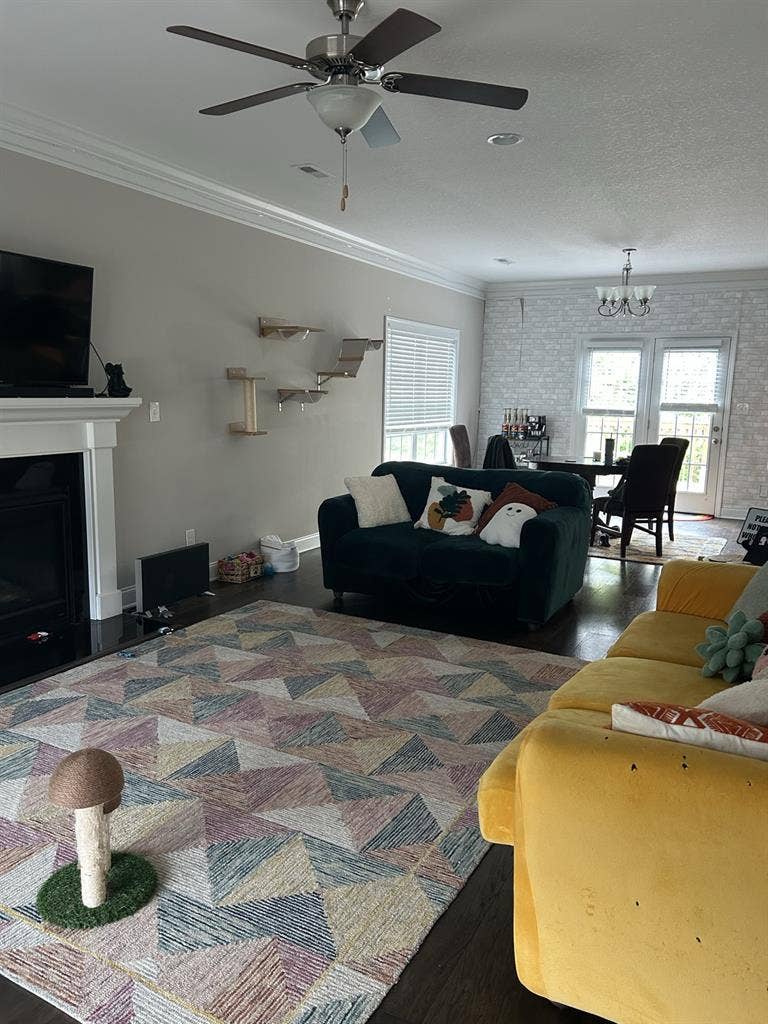 Room for Rent in West Knoxville