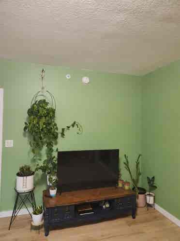Master bedroom in a 3-bedroom apt!