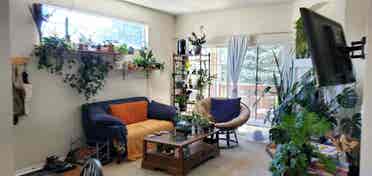 Three room Condo - West FoCo