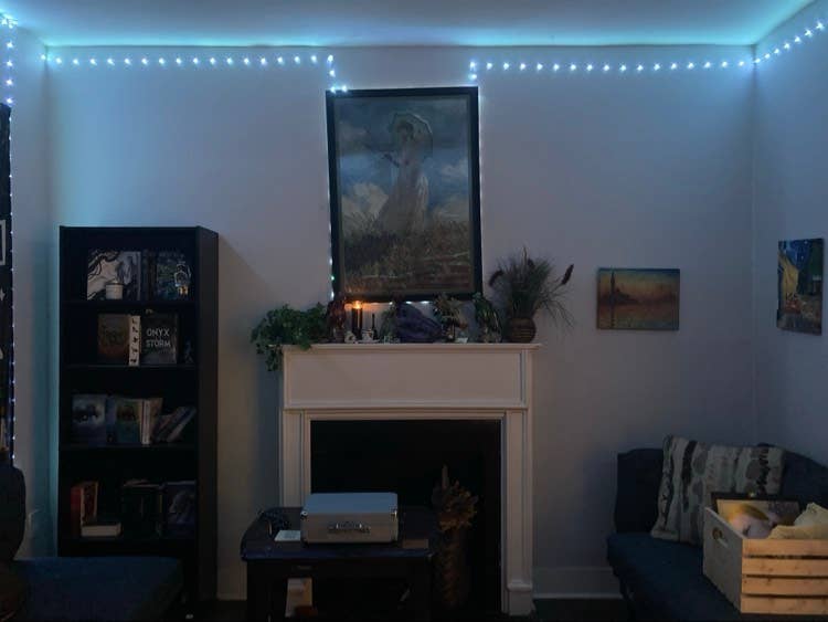 Looking for a cool roommate 🖤