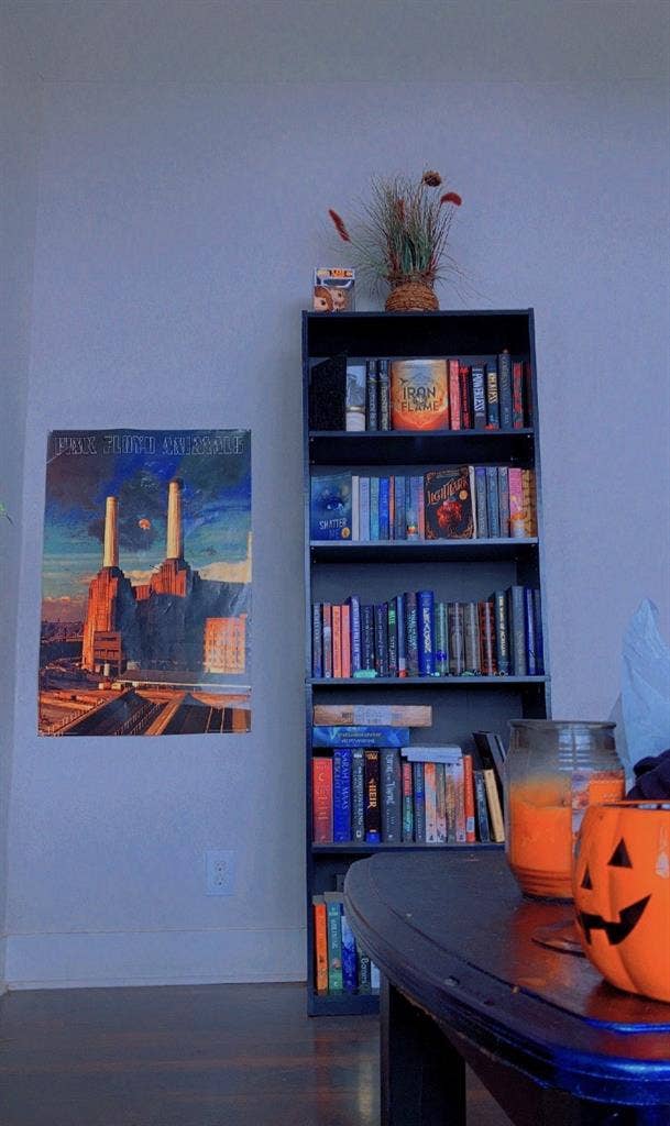 Looking for a cool roommate 🖤