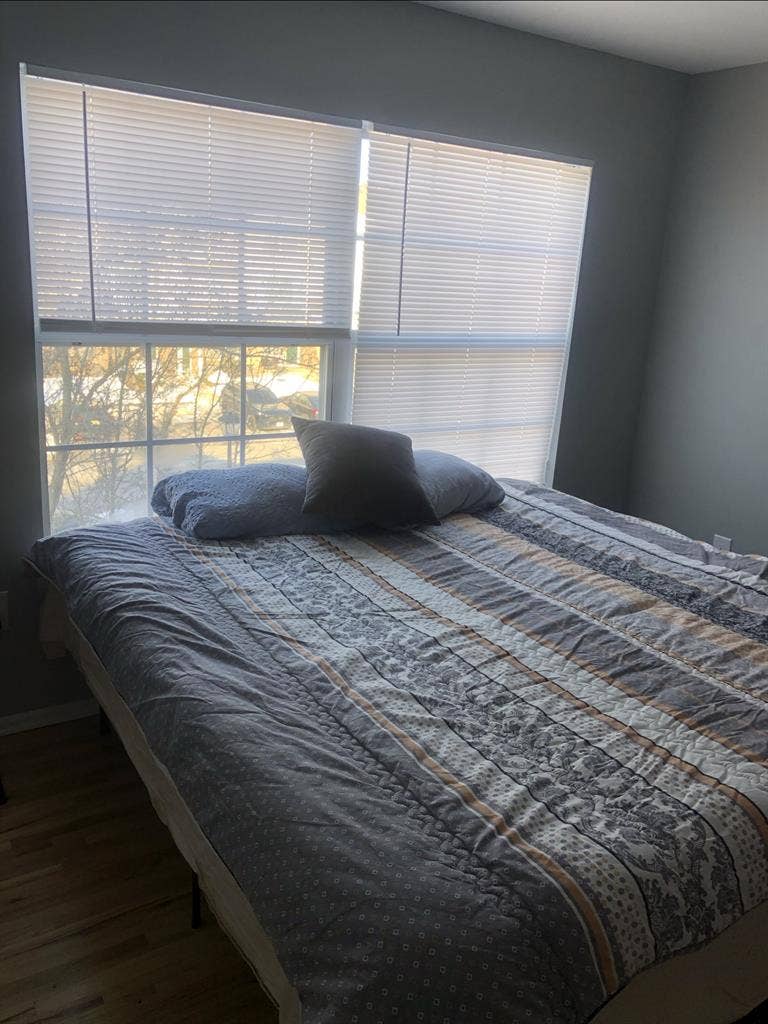 Looking for roommate