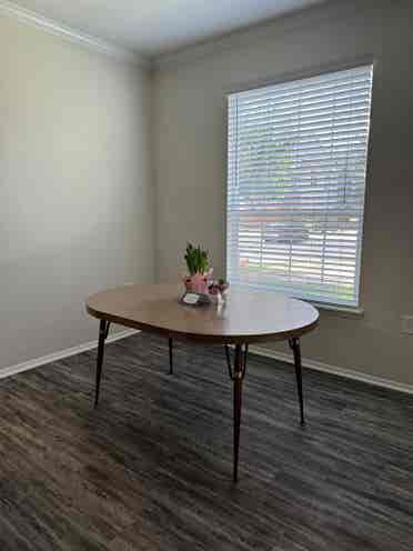 Looking for a roommate ASAP