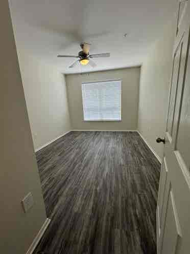 Looking for a roommate ASAP