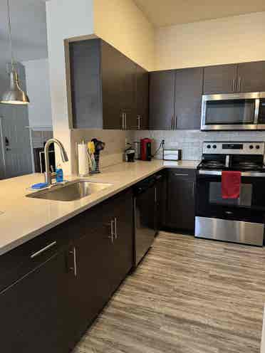 Looking for a roommate ASAP