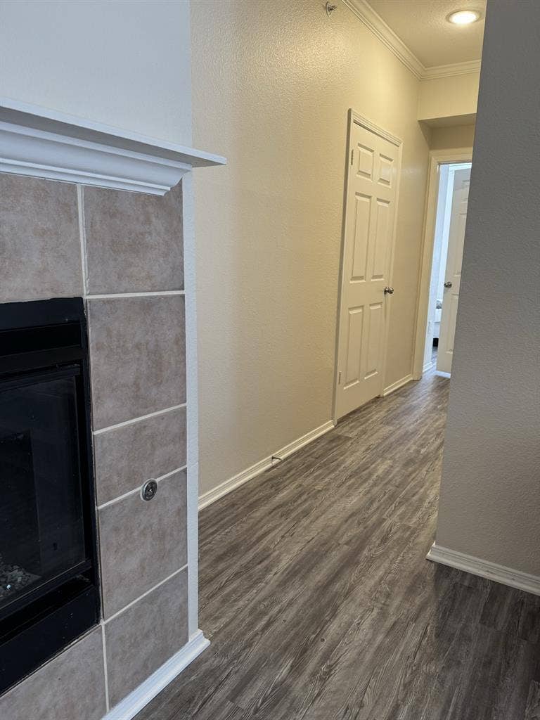 Looking for a roommate ASAP