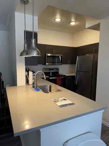 Looking for a roommate ASAP