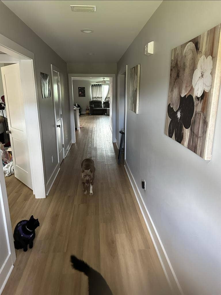 Room for rent in foleyy
