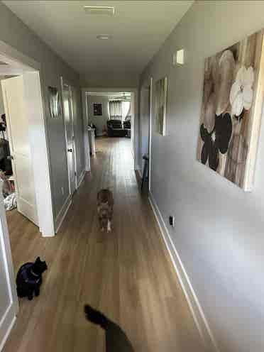 Room for rent in foleyy