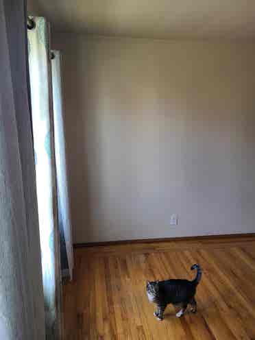 sqft room for rent in 2 bedroom
