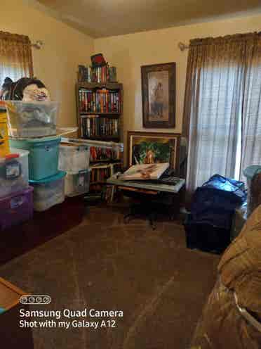 Looking for a Roommate