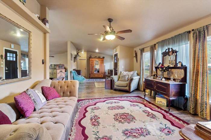 Looking for a Roommate