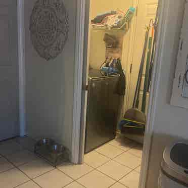 Room for rent