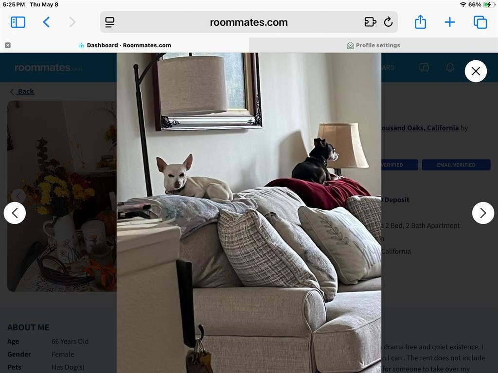 New Listing