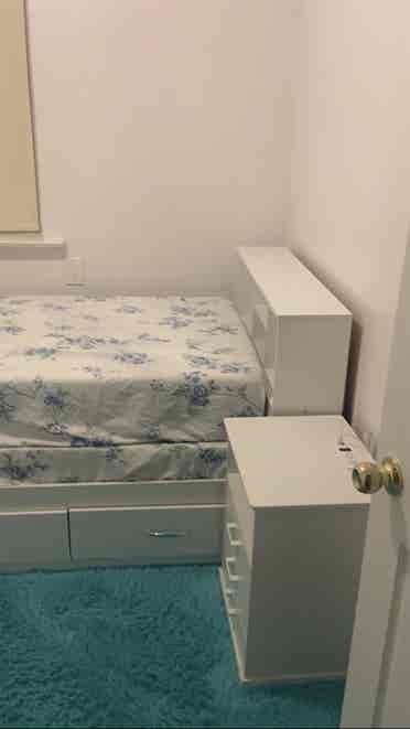 Female 
Roommate Needed