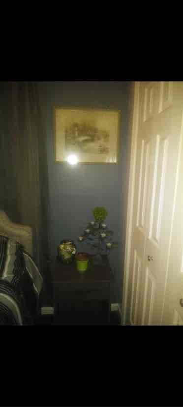 $ room for rent
