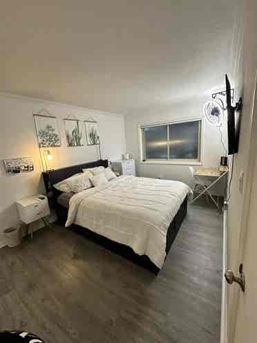 Spacious private Room and Bath