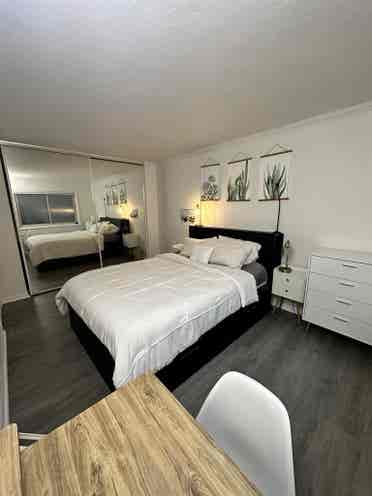 Spacious private Room and Bath