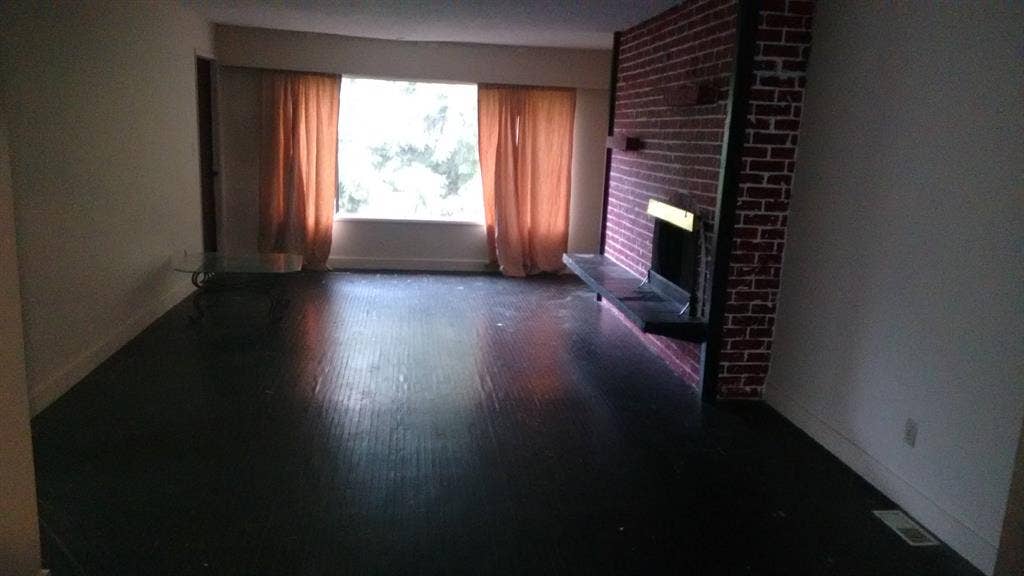 room in dog friendly house