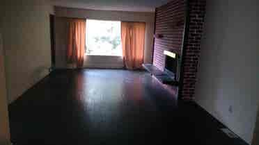 room in dog friendly house