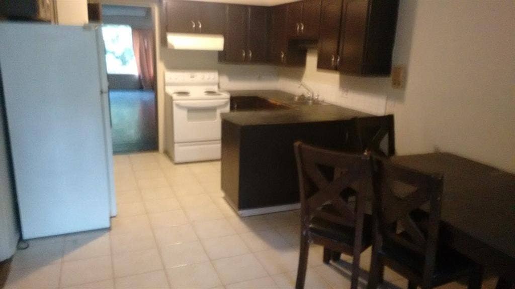room in dog friendly house