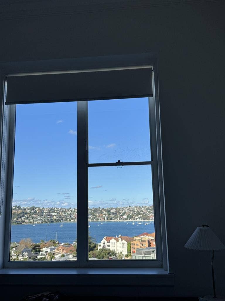 Views from every room