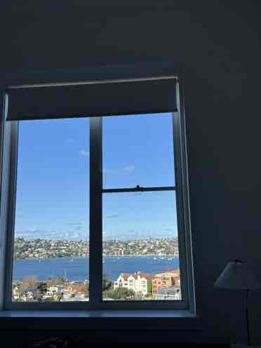Views from every room