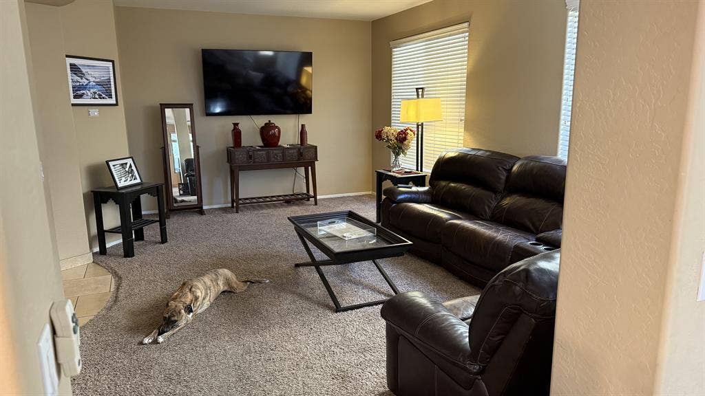 Room For Rent In Anthem