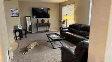 Room For Rent In Anthem